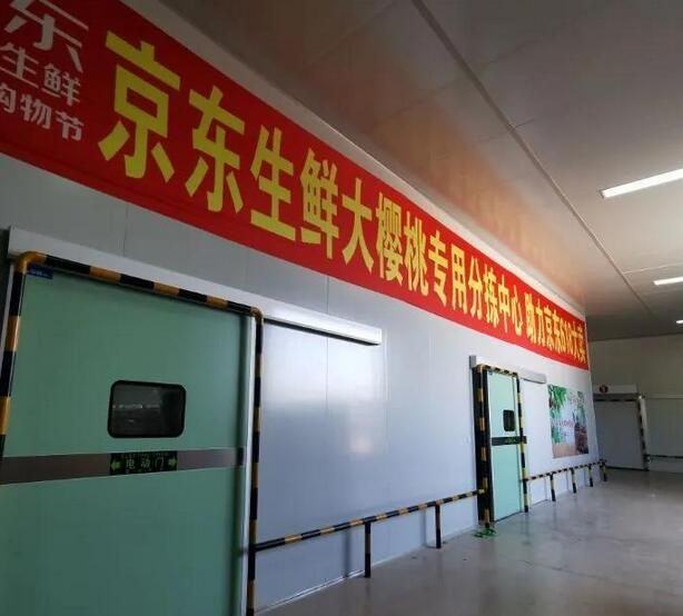 瓦房店樱桃“大王”，今年做到了全国第一