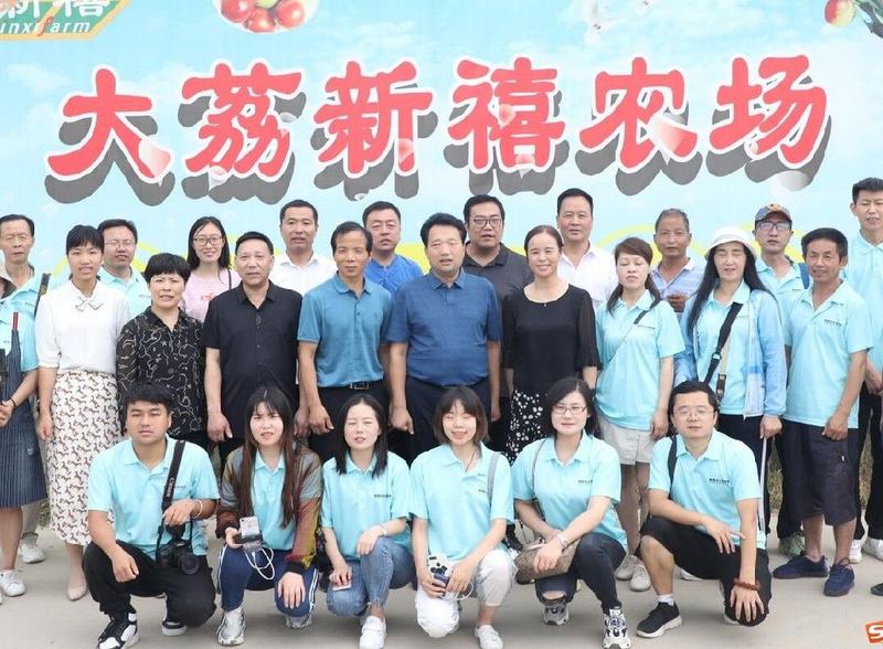 新禧冬枣专业合作社：引进光电智能分拣线 助力大荔冬枣提质增效