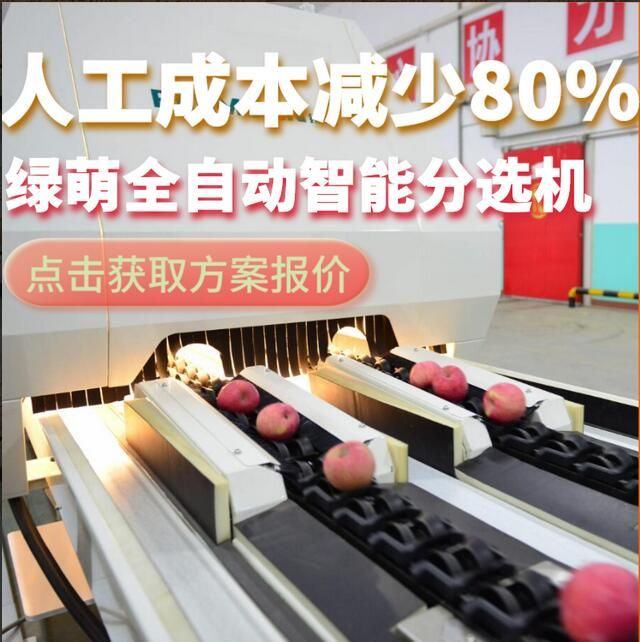 绿萌 水果分选机介绍