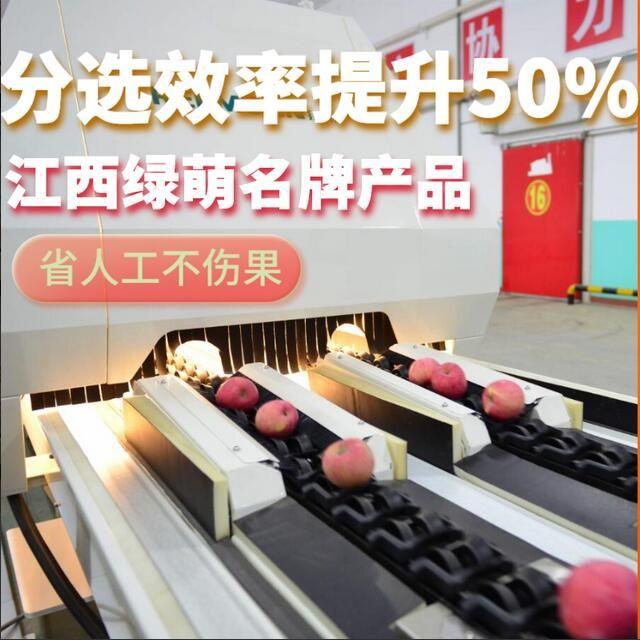 绿萌 水果分选设备介绍