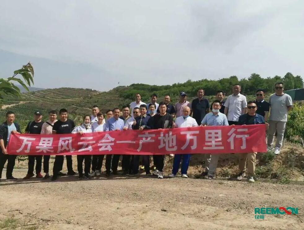 绿萌自动化樱桃分选设备亮相甘肃天水引起各界广泛关注