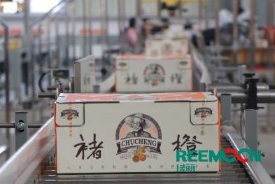 'We can finished 400 tons oranges’ processing in a day with just 100 workers!" Chu Cheng is standardized in this way...