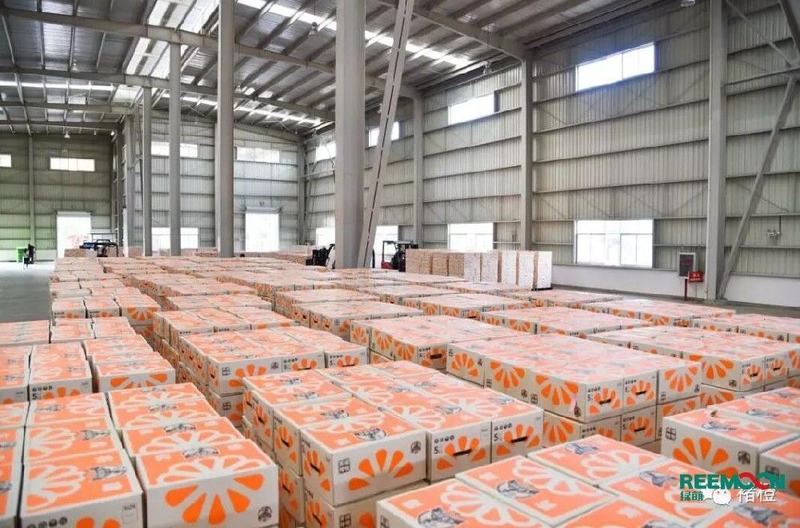 实建褚橙发货啦！江西绿萌科技控股有限公司为褚橙品质和效率保驾护航！