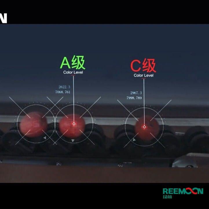 绿萌水果分选机多少钱？江西绿萌科技控股有限公司厂家直销报价