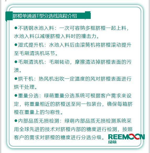 绿萌T型分选设备——专为中国果农设计