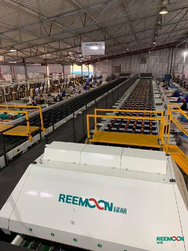 Temporada 2020 Moletele: operando un Reemoon de 12 carriles