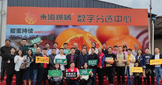 东海爆橘建立水果数字分选中心