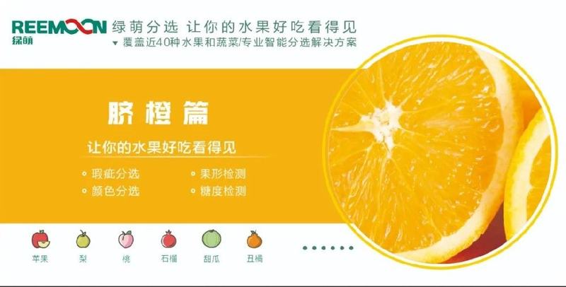 糖度可视化 好吃看得见【脐橙篇】