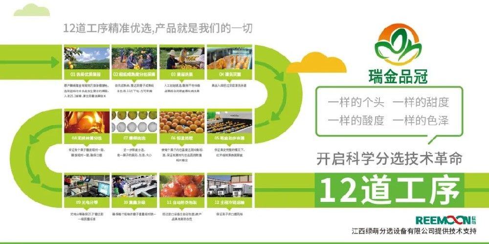 12道工序精准培选，瑞金品冠打响“辽宁战役”把优质赣南脐橙推介给东北人民