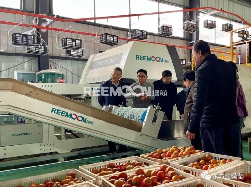 云南省人大常委会领导一行到东方红云品加工厂调研