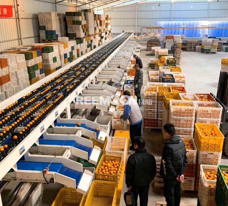 韶关仁化柑橘基地入选“广东省农产品出口示范基地”