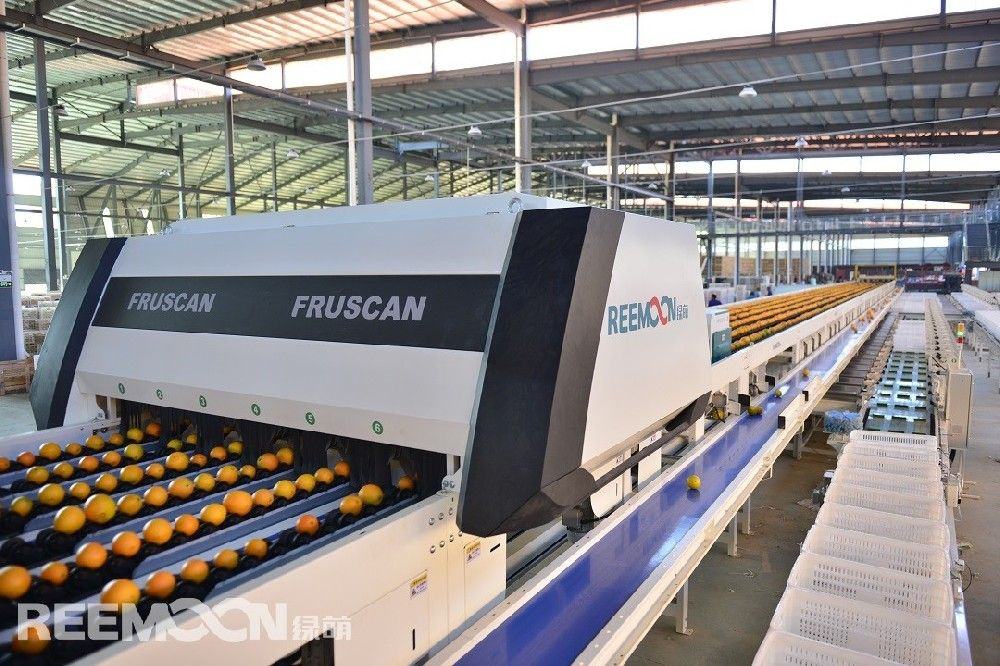 智能分级是增加收益、提升品牌的重要手段