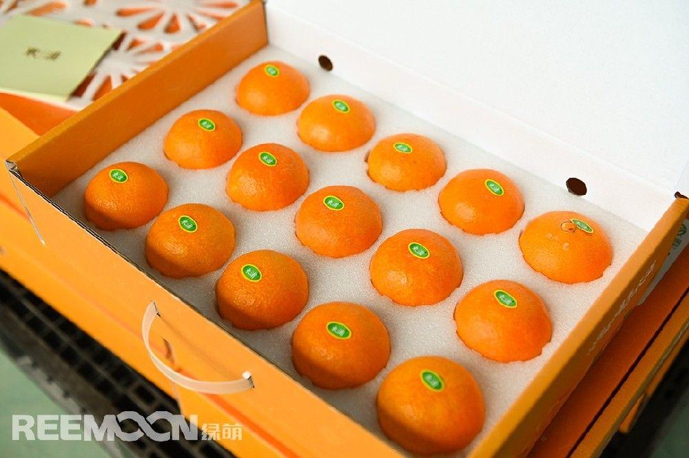 东浦“红美人”如何卖出好价钱 品质把控是关键