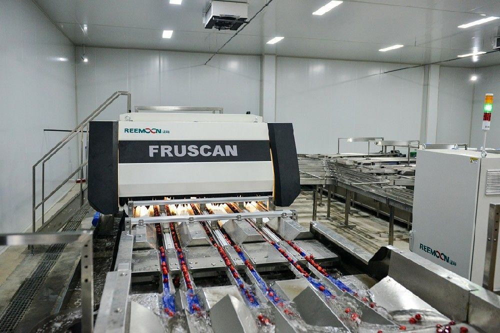 顾问风采丨绿萌持续关注 FRUIT EXPO 2021，共缔果业盛筵！