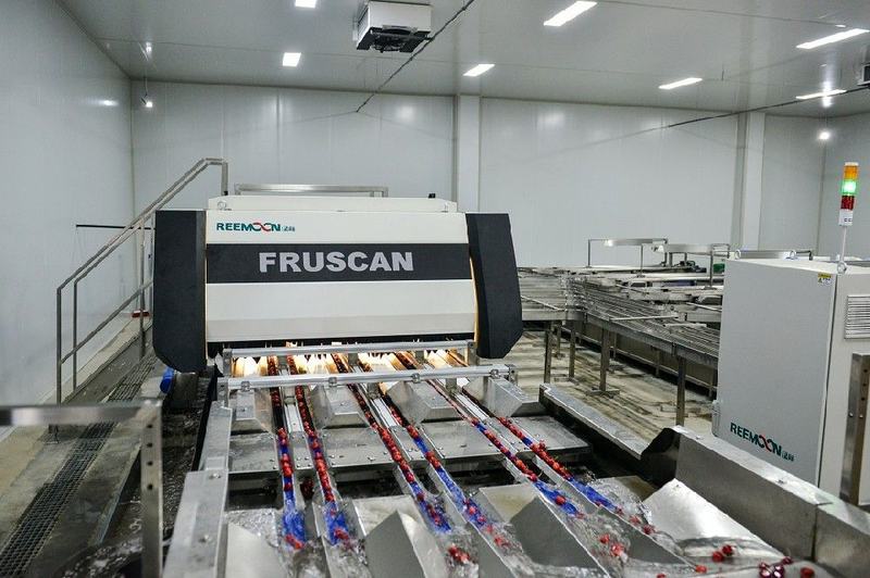 顾问风采丨绿萌持续关注 FRUIT EXPO 2021，共缔果业盛筵！