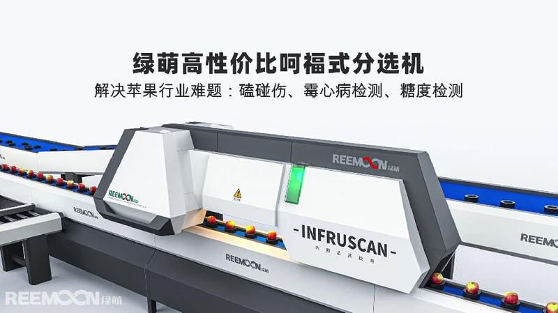 绿萌呵福式苹果分选线助力威海唱响“威海苹果”品牌