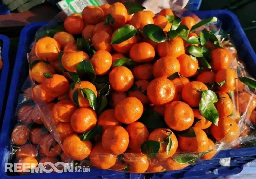 砂糖橘价格再跌，后期还有下降空间