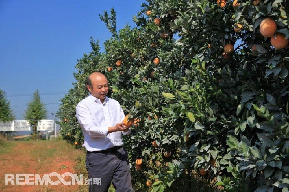 规模果园的盈利核心：在造就好品质的同时，成本一定是可控的