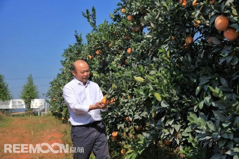 规模果园的盈利核心：在造就好品质的同时，成本一定是可控的
