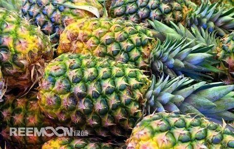 徐闻菠萝上市，鲜切小菠萝成为新热点