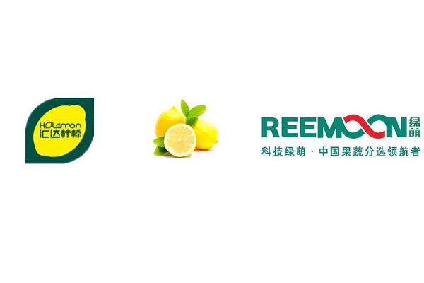 重庆 汇达 柠檬