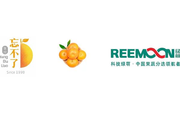 浙江 忘不了 柑橘