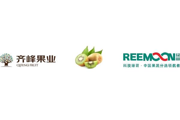 陕西 齐峰果业 猕猴桃