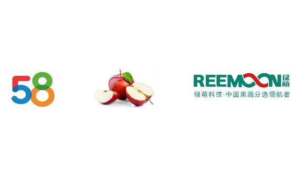 云南 58农业 苹果