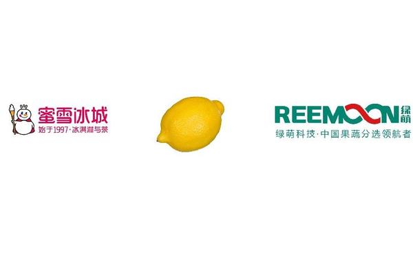 重庆 雪王农业 柠檬