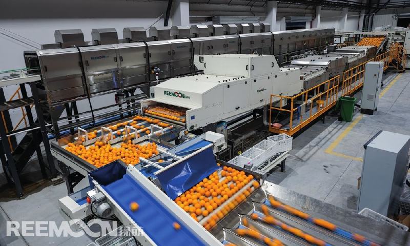 Advanced technologies help China’s agricultural industry realize digital transition