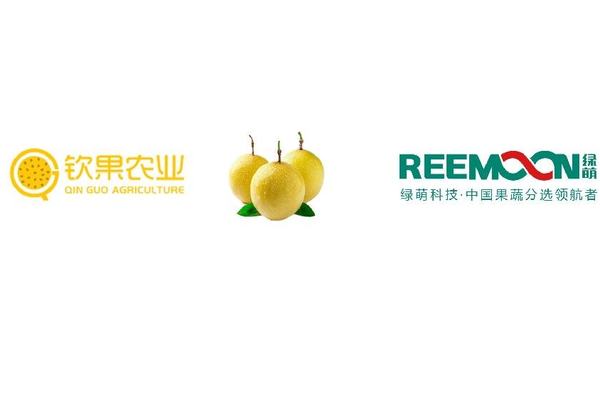 广西 钦果农业 百香果