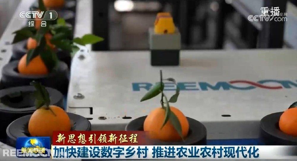 赞！2025开年绿萌两次登上央视《新闻联播》