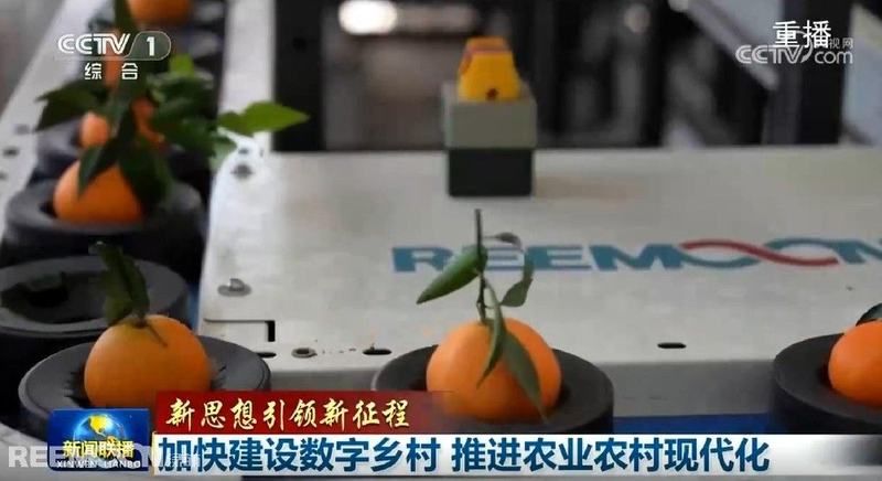 赞！2025开年绿萌两次登上央视《新闻联播》