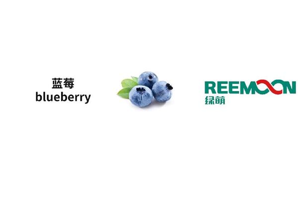 广州 德裕 蓝莓
