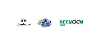 广州 德裕 蓝莓