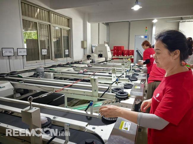 【人民网报道】成都龙泉驿水蜜桃每小时智能分选1.5吨！科技赋能“甜蜜产业”升级