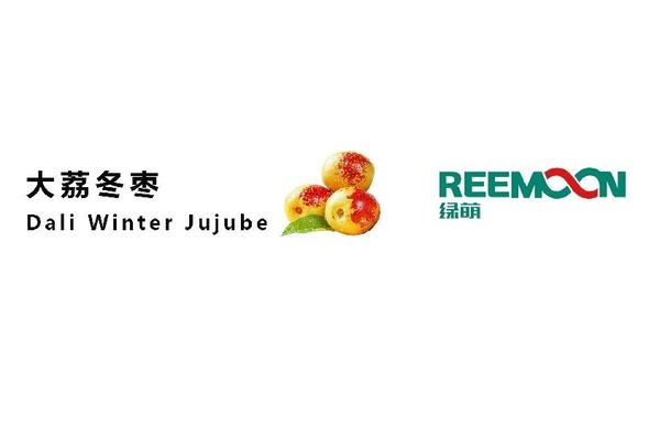 陕西 绿青合作社 冬枣