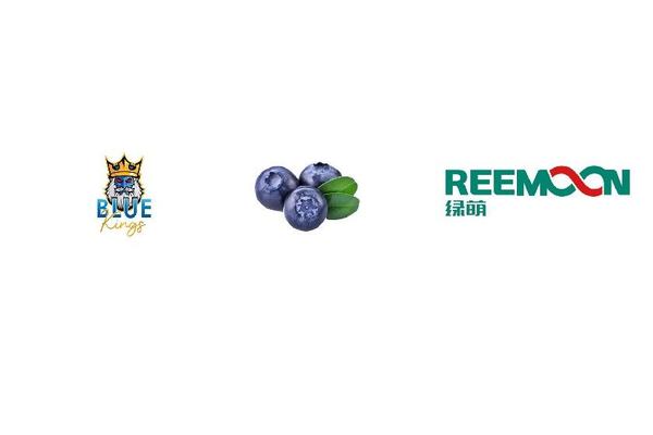 Spain Onuba de Ferreteria, S.L. Blueberry