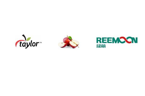 New Zealand Taylor Apple