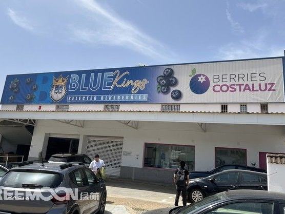Reemoon promotes intelligent blueberry sorting with a new line launched in Lepe, Spain