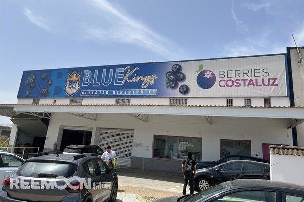 Reemoon promotes intelligent blueberry sorting with a new line launched in Lepe, Spain