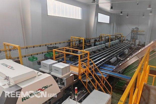 Reemoon has launched the first cherry sorting line in Spain’s Jerte Valley