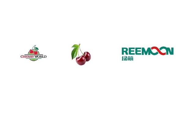 España Cherry World Cereza