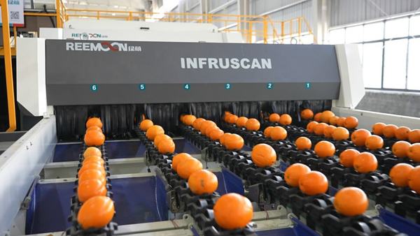 INFRUSCAN