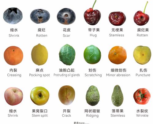 视觉