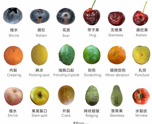 视觉