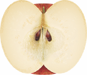糖度