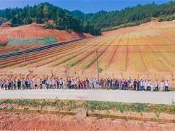Arbor Day tree planting Activities