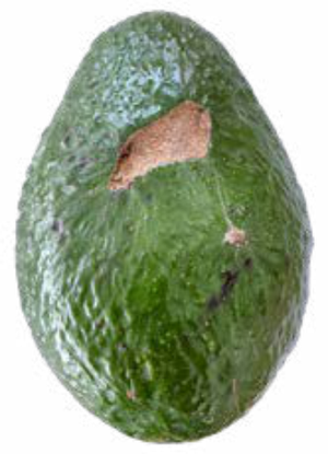 干疤