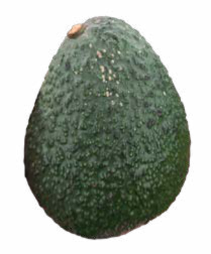 虫卵
